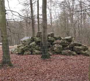 Wildpark Eichert