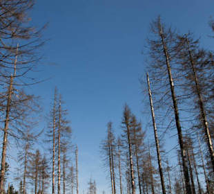 Droga na Baranią Górę