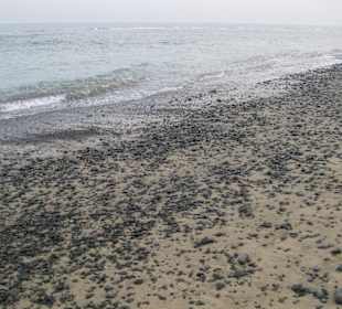 Maspalomas im Juni 2010