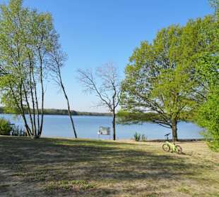 Eindrücke vom Rundgang um den See