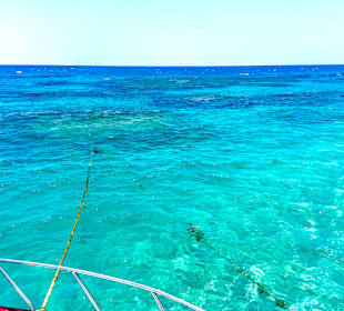 Glasbodenboot Tour Hurghada