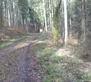 Rundwanderung durch den Rauhen Rammert Hemmendorf