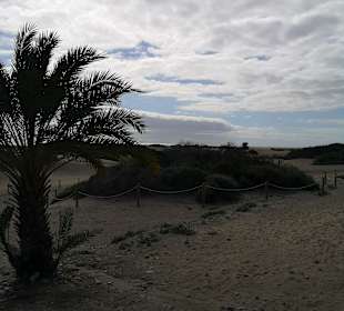 Dünen von Maspalomas