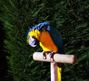 Stadtrundgang Albena