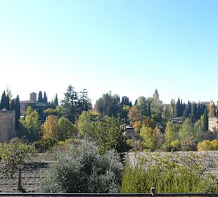 Dettaglio del giardino