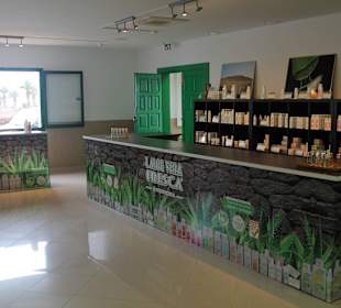 Aloe Vera Infocenter Lanzarote - Yaiza