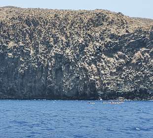 Bootstour Los Gigantes