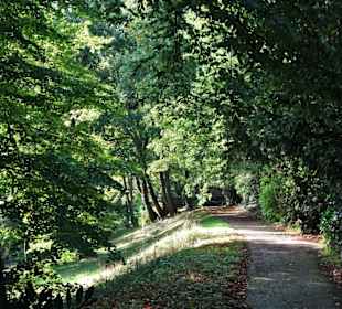 Eindrücke aus dem herbstlichen Knoops Park