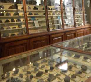 Museum für Naturkunde