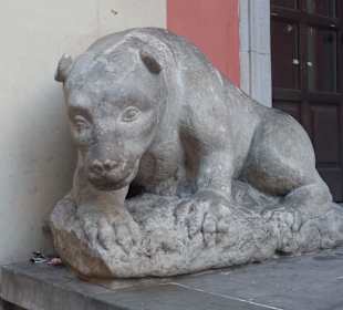 Lew przy kościele NMP Łaskawej