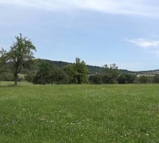 Premiumspazierweg Früchtetrauf-Leisawegle