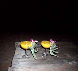 Mango Daiquiris im Coconut Grove