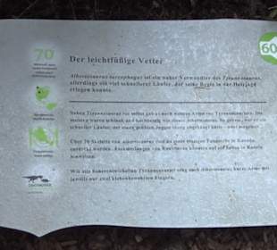 Dinosaurier Museum Altmühltal