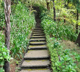 Impressionen vom Weg durch den Monte Palace Garden