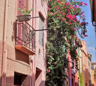 Impressionen aus der Altstadt von Collioure