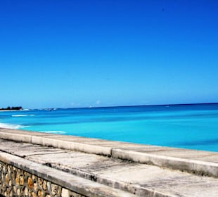 Im Bereich des National Parks