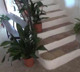 Klosteranlage Santuari de Sant Salvador