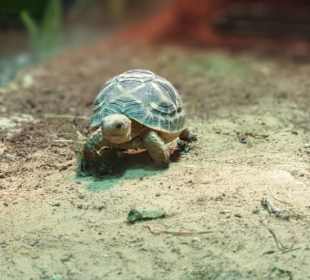Allwetterzoo Münster
