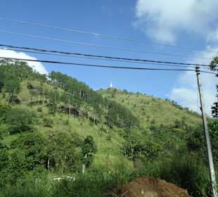 Elefantenreiten Sigiriya