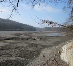 Leerer Konopiste See