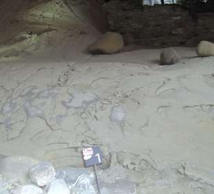 Naturdenkmal im Gletschergarten in Luzern