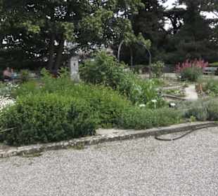 Alter Botanischer Garten