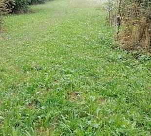 Schaugarten Eninger Weide