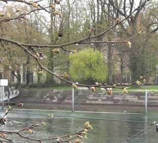 Rheinstrandbad