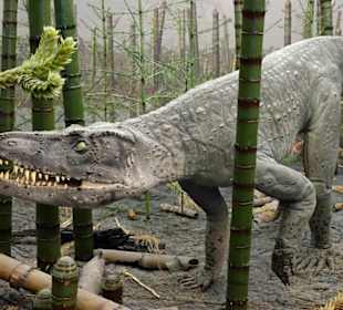 Vorläufer eines Dinos