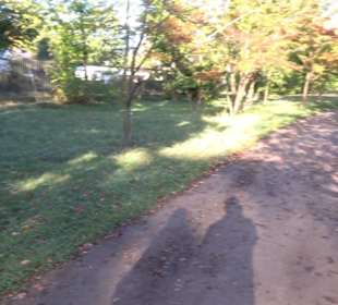 Botanischer Garten