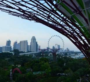Singapore Flyer