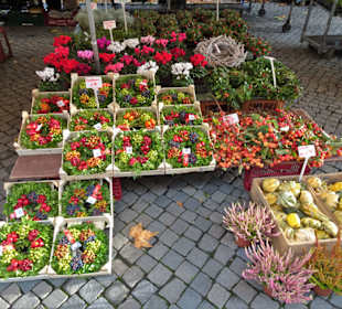 Rundgang über den Wochenmarkt Achim