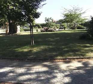 Altstadt - Rund um das Terrassenufer