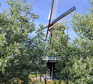 De Groenvelder in Schagen