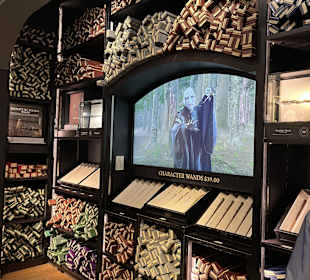 Harry Potter New York Store