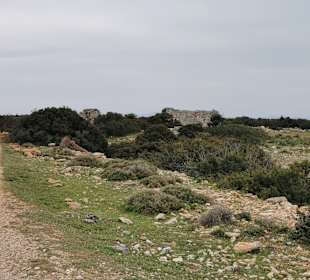 Wandern Didim