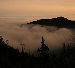 Mglisty poranek w Tatrach