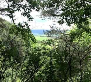 Wanderweg - Alter Steinbruch Pfaffenberg Runde