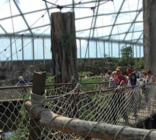 Godwanaland im Zoo Leipzig