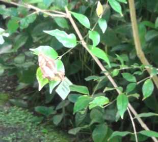 Botanischer Garten