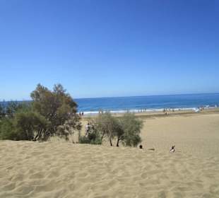 Dünen von Maspalomas