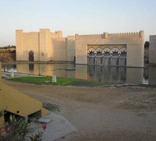 Das "Arena" im Hellen