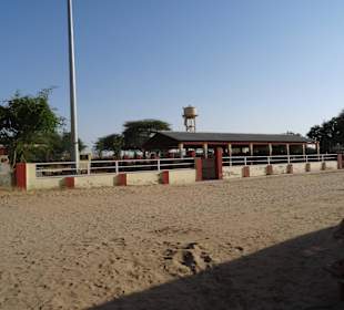 Auf dem Gelände der Kamelfarm