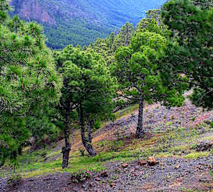Traumhafte Landschaft