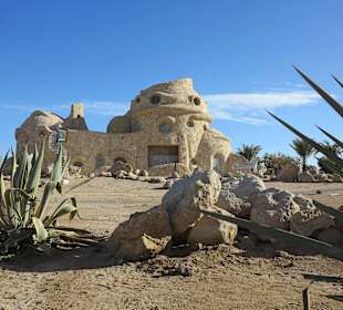 Turtle House nahe Downtown