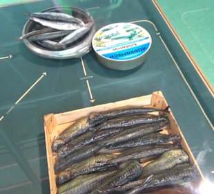 Meeresmuseum Stralsund