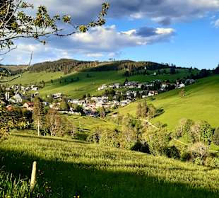 Wandern Todtnauberg