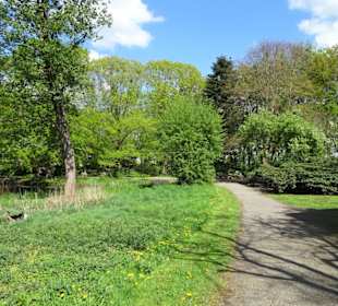 Frühling im Rhododendronpark Verden