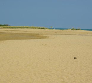 Strand von Bibione 06-2010