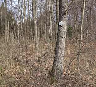 Freizeit-Anlage Buchhalde